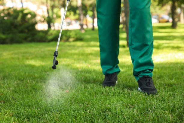 Best Exterminator Services  in Lisbon, IA