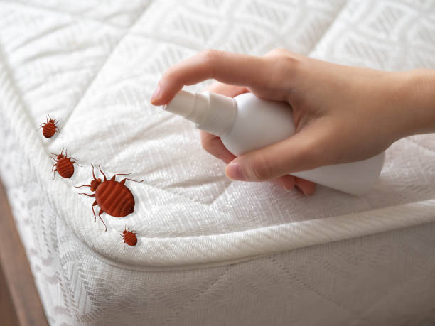 Best Cockroach Control Services  in Lisbon, IA