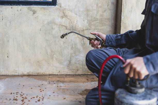 Best Best Pest Control Near Me  in Lisbon, IA